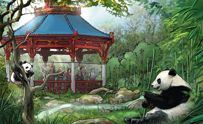So könnte das neue Gelände für die Pandas aussehen