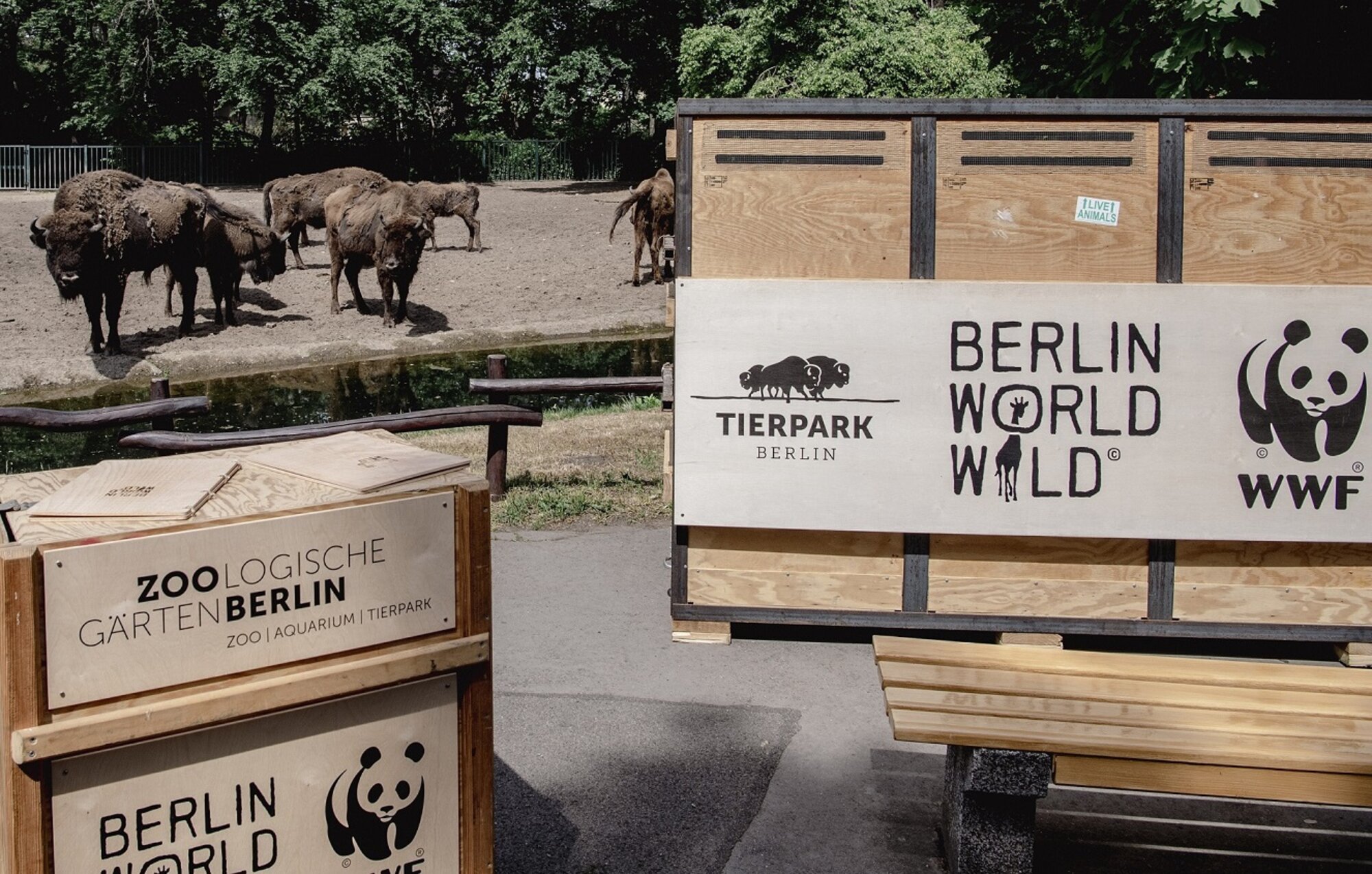 Working together to protect species – Zoo Berlin
