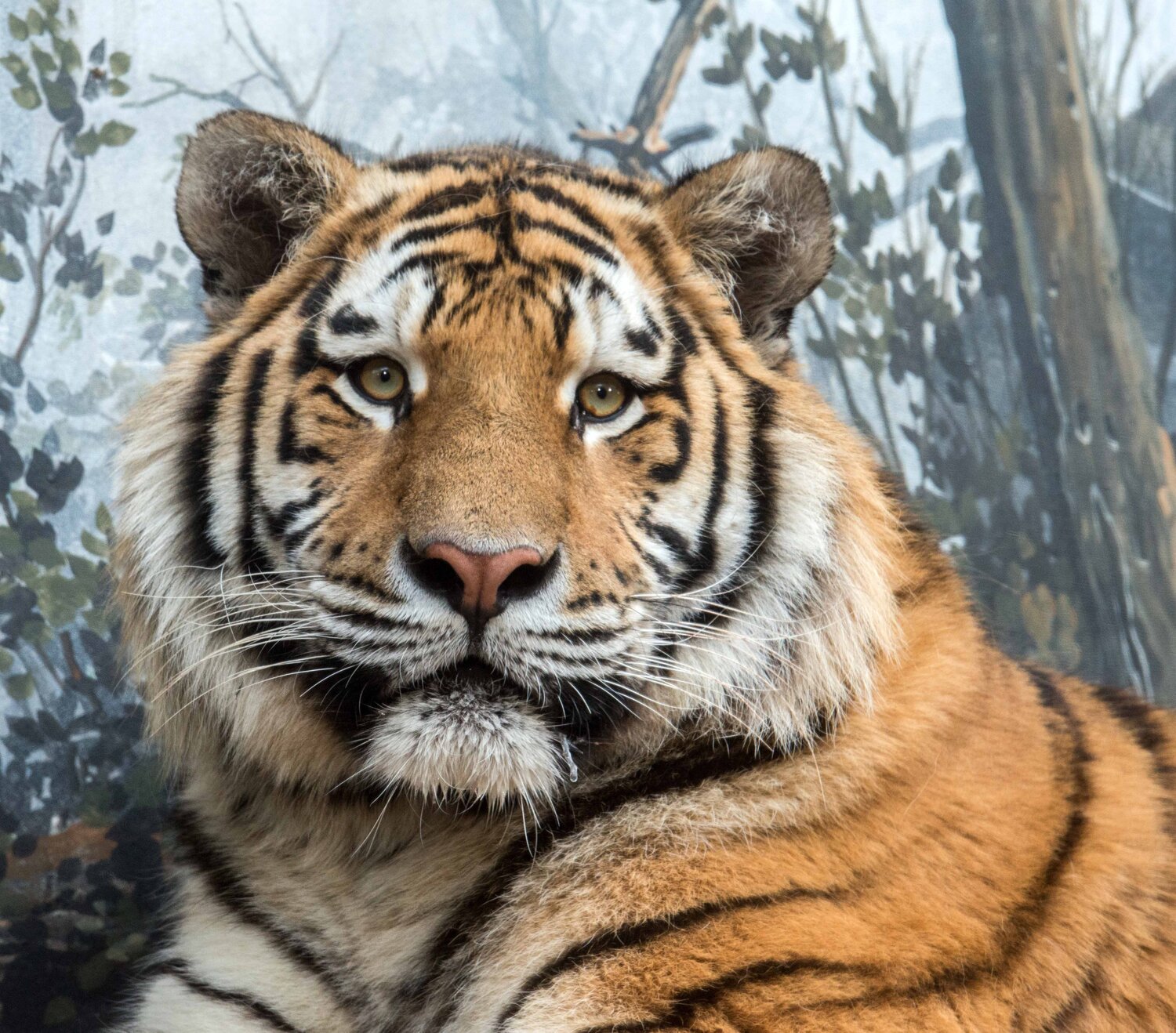 Armurtiger