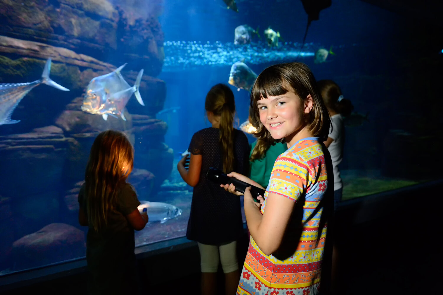 Taschenlampentouren im Aquarium Berlin