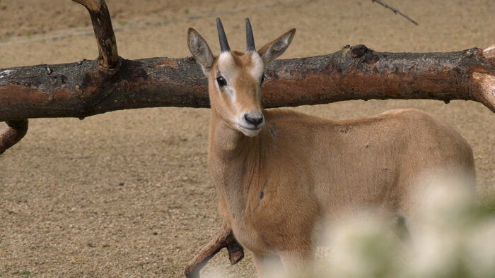 best time to visit berlin zoo