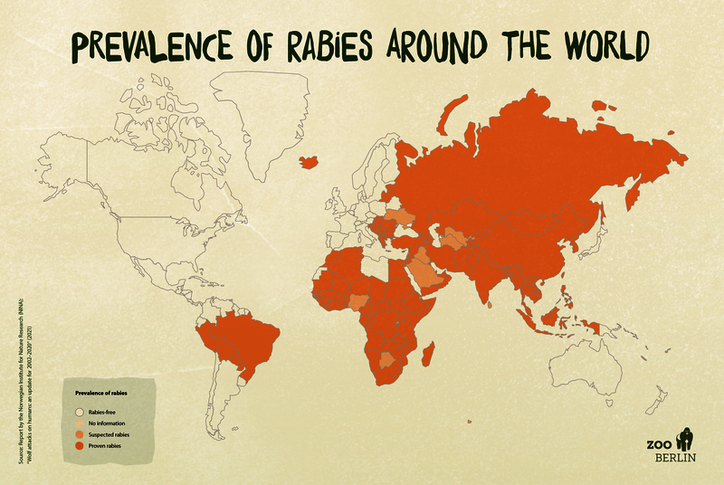 Mythos Wolf – Zoo Berlin