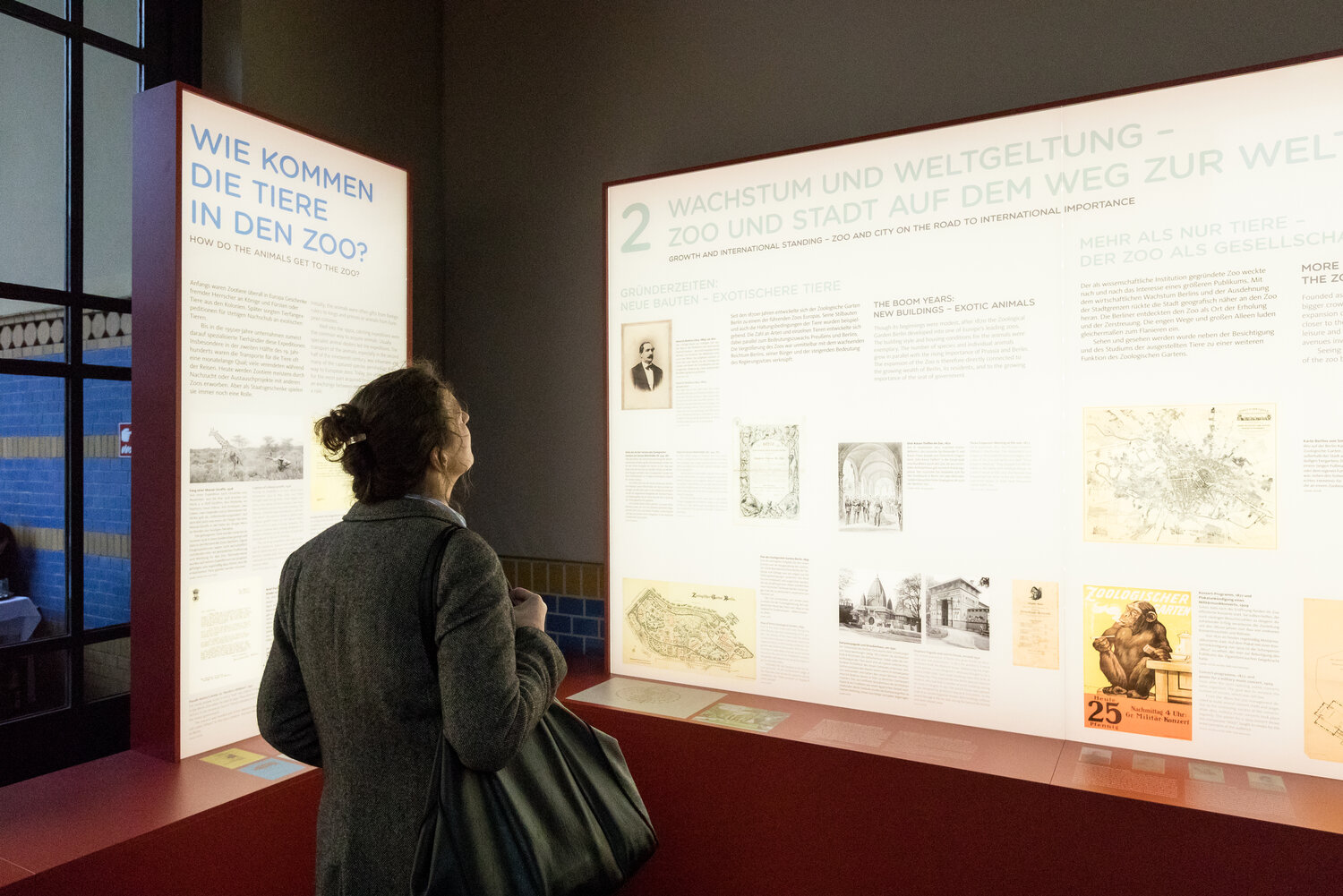 [Translate to English:] Ausstellung Zoogeschichten
