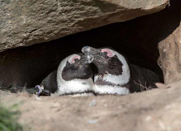 best time to visit berlin zoo