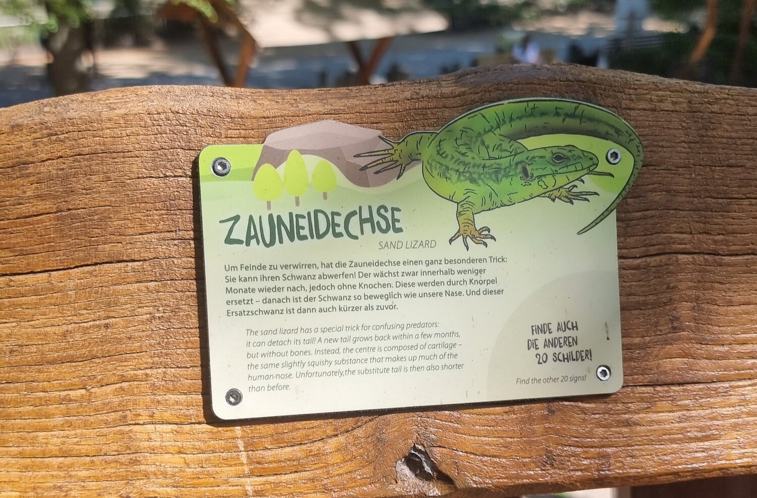 Waldwunder-Rallye-Schild