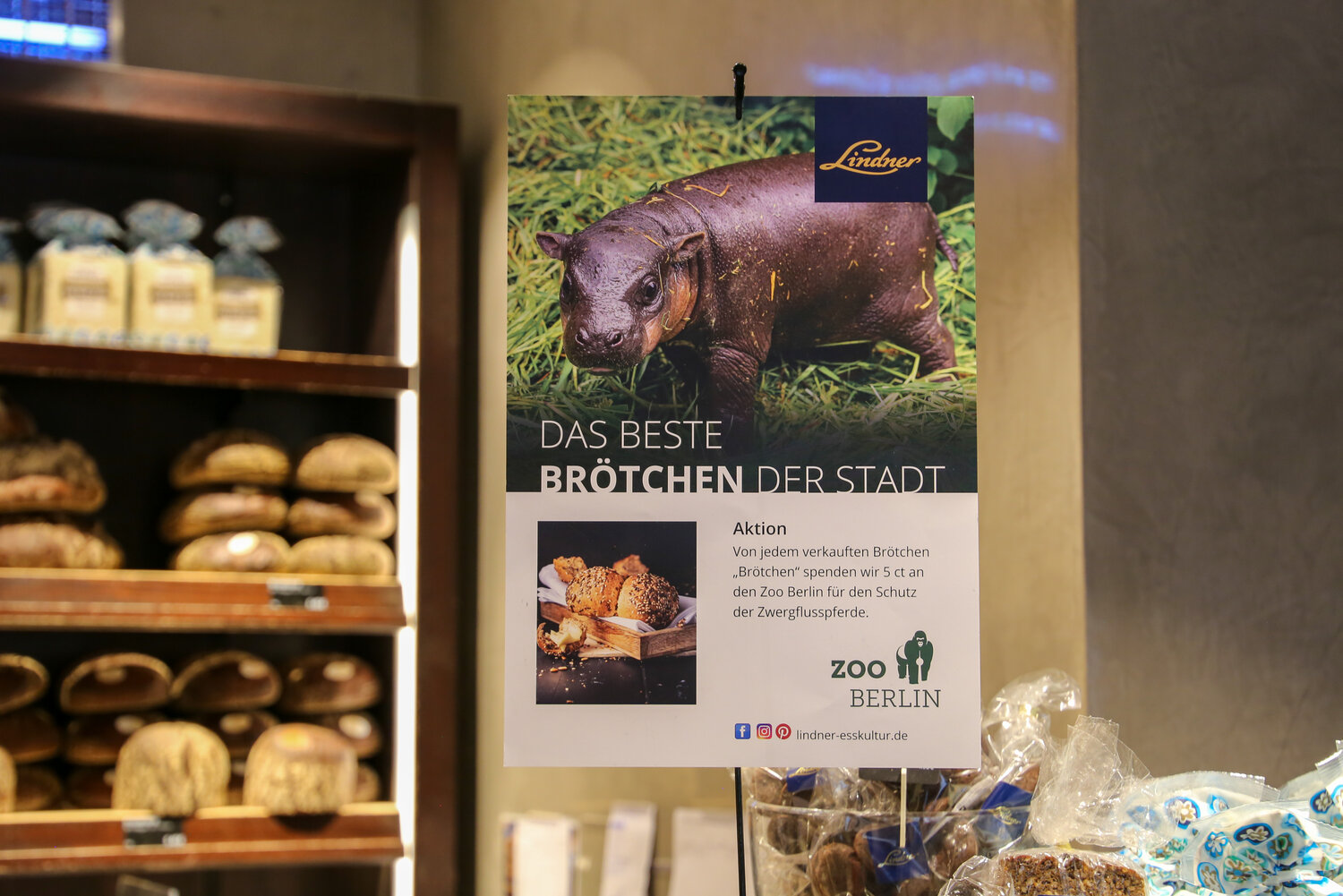 Zoo Berlin x Lindner